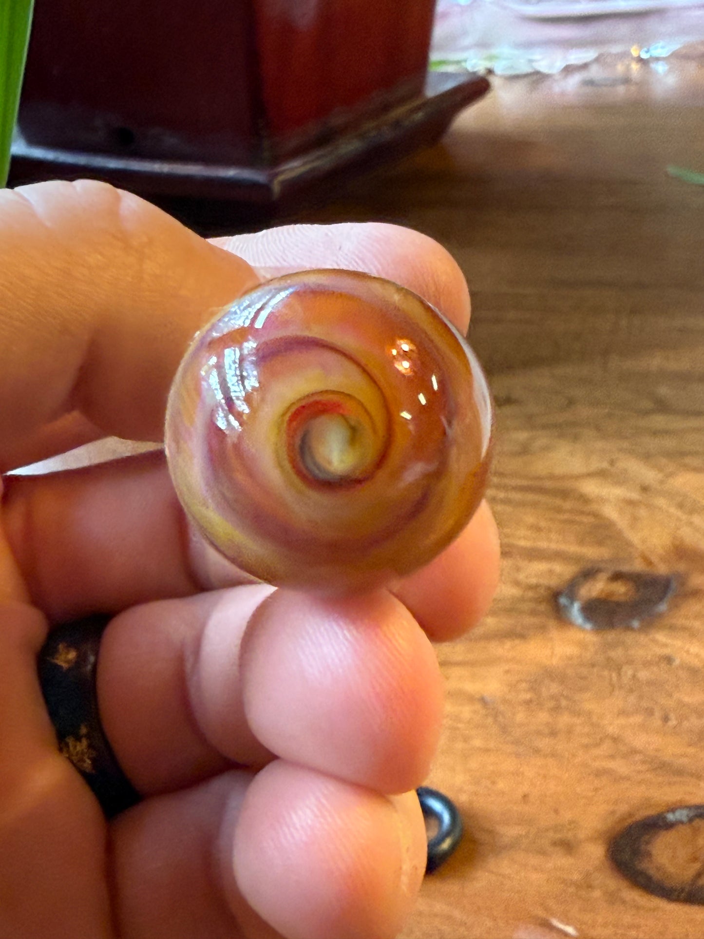 Hand Blown Borosilicate Glass Honey Dipper Stirrer Planet Swirl Marble Top