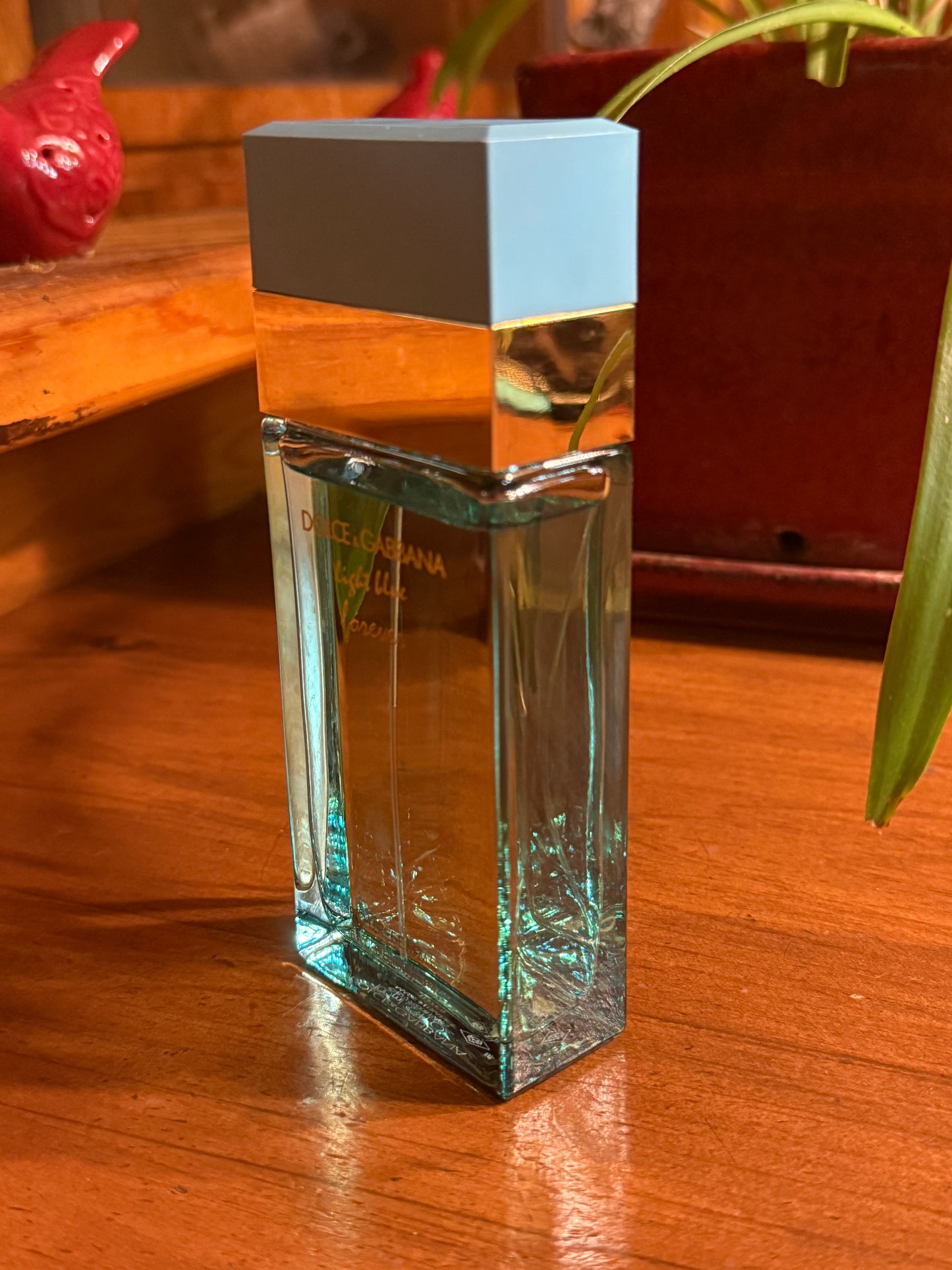 Light Blue Forever by Dolce & Gabbana perfume 3.4 oz